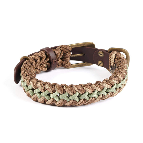 William Walker Paracord Hundehalsband Shire // Limited
